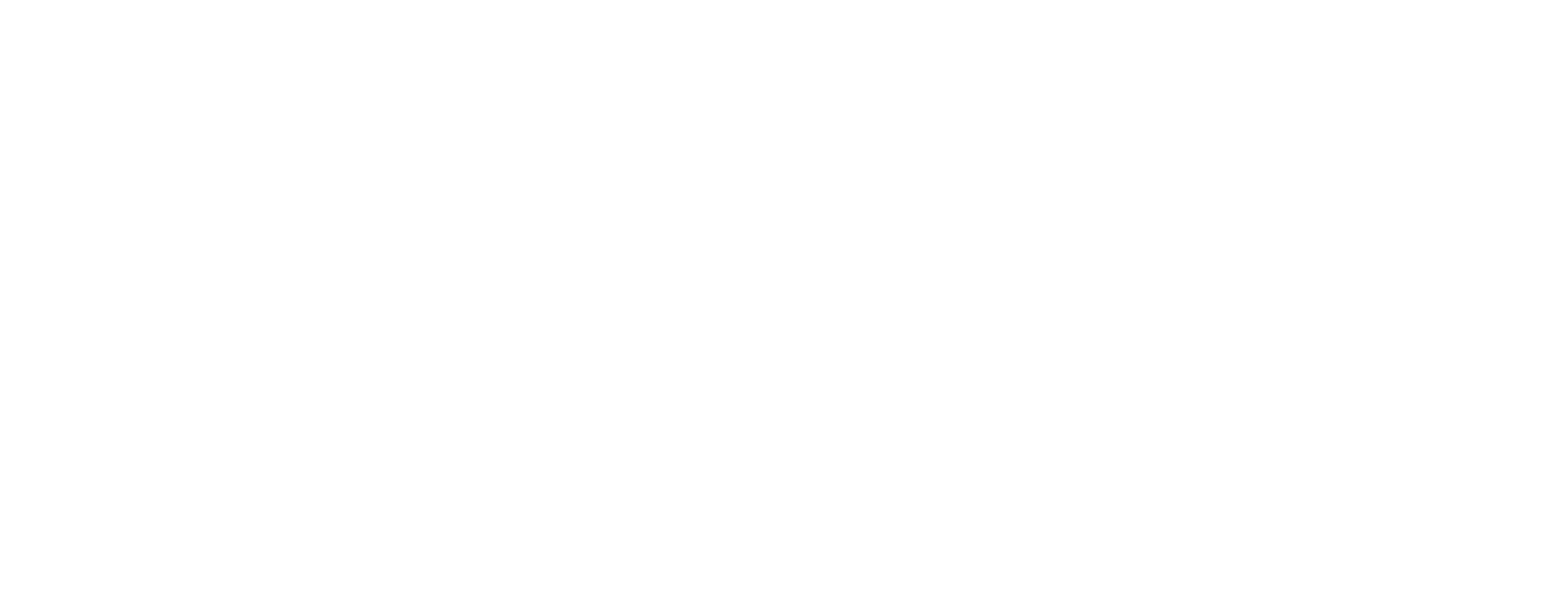 Bluechip Trading KI